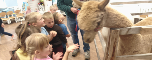 Alpaki 